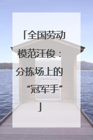 全国劳动模范汪俊：分拣场上的“冠军手”