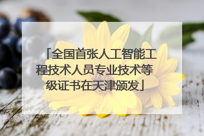 全国首张人工智能工程技术人员专业技术等级证书在天津颁发