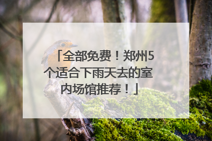 全部免费！郑州5个适合下雨天去的室内场馆推荐！