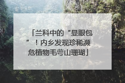 兰科中的“显眼包”！内乡发现珍稀濒危植物毛萼山珊瑚