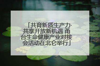 共育新质生产力·共享开放新机遇 甬台生命健康产业对接会活动在北仑举行