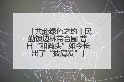 共赴绿色之约丨民勤锁边林带合围 昔日“和尚头”如今长出了“披肩发”