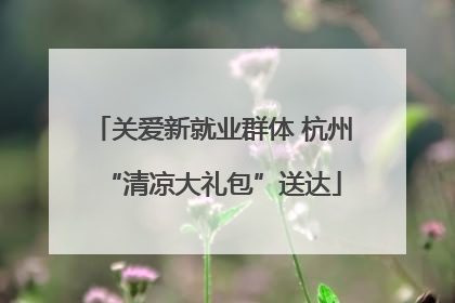 关爱新就业群体 杭州“清凉大礼包”送达