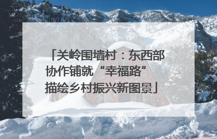 关岭围墙村：东西部协作铺就“幸福路” 描绘乡村振兴新图景