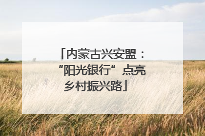 内蒙古兴安盟：“阳光银行”点亮乡村振兴路