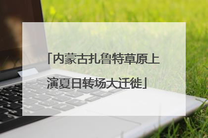 内蒙古扎鲁特草原上演夏日转场大迁徙