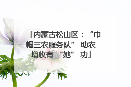 内蒙古松山区：“巾帼三农服务队” 助农增收有 “她” 功