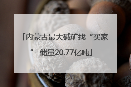 内蒙古最大碱矿找“买家” 储量20.77亿吨