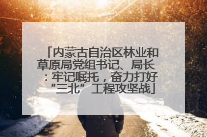 内蒙古自治区林业和草原局党组书记、局长：牢记嘱托，奋力打好“三北”工程攻坚战