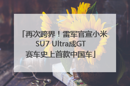 再次跨界！雷军官宣小米SU7 Ultra成GT赛车史上首款中国车