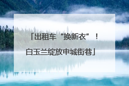 出租车“换新衣”！白玉兰绽放申城街巷