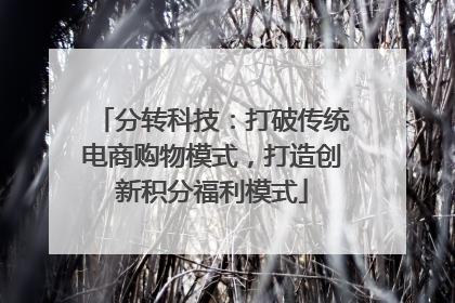 分转科技：打破传统电商购物模式，打造创新积分福利模式