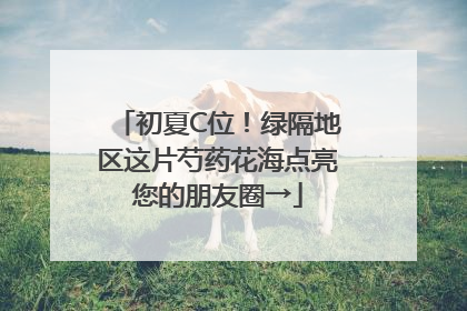 初夏C位！绿隔地区这片芍药花海点亮您的朋友圈→