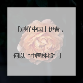 别样中国丨伊春，何以“中国林都”