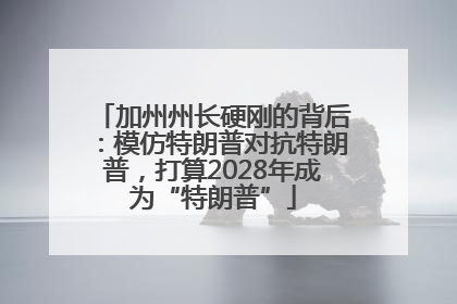 加州州长硬刚的背后：模仿特朗普对抗特朗普，打算2028年成为“特朗普”