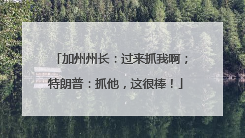 加州州长：过来抓我啊；特朗普：抓他，这很棒！