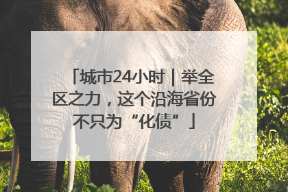 城市24小时｜举全区之力，这个沿海省份不只为“化债”