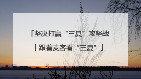 坚决打赢“三夏”攻坚战丨跟着麦客看“三夏”