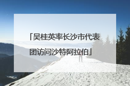 吴桂英率长沙市代表团访问沙特阿拉伯