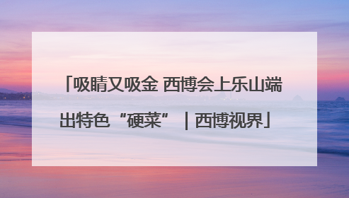 吸睛又吸金 西博会上乐山端出特色“硬菜”｜西博视界