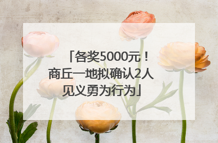 各奖5000元！商丘一地拟确认2人见义勇为行为