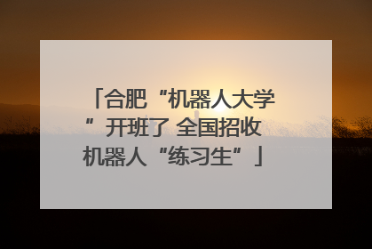 合肥“机器人大学”开班了 全国招收机器人“练习生”