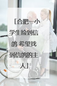 合肥一小学生捡到信鸽 希望找到信鸽的主人