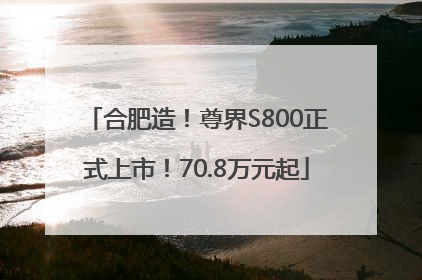 合肥造！尊界S800正式上市！70.8万元起