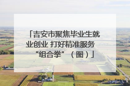 吉安市聚焦毕业生就业创业 打好精准服务“组合拳”（图）