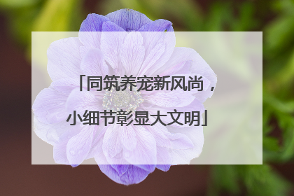 同筑养宠新风尚，小细节彰显大文明