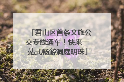 君山区首条文旅公交专线通车！快来一站式畅游洞庭明珠