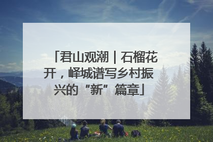 君山观潮｜石榴花开，峄城谱写乡村振兴的“新”篇章