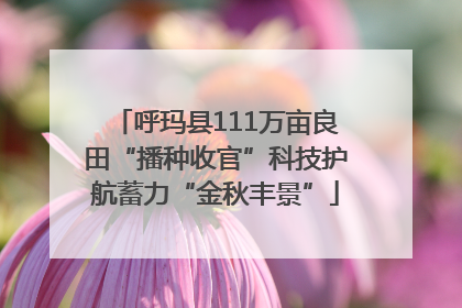 呼玛县111万亩良田“播种收官”科技护航蓄力“金秋丰景”