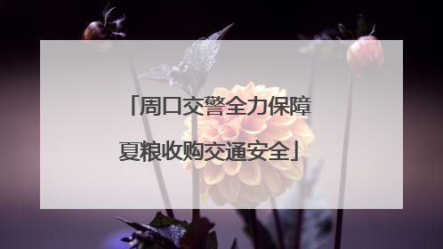 周口交警全力保障夏粮收购交通安全