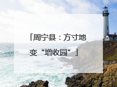 周宁县：方寸地变“增收园”