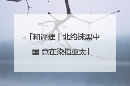 和评理｜北约抹黑中国 意在染指亚太