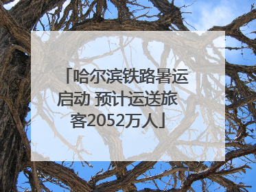 哈尔滨铁路暑运启动 预计运送旅客2052万人