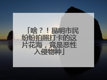啥？！昆明市民纷纷拍照打卡的这片花海，竟是恶性入侵物种