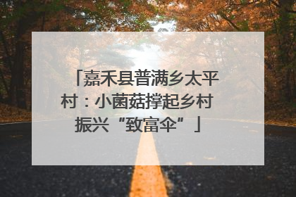 嘉禾县普满乡太平村：小菌菇撑起乡村振兴“致富伞”