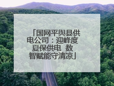 国网平舆县供电公司：迎峰度夏保供电  数智赋能守清凉
