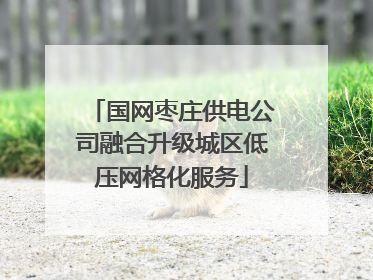 国网枣庄供电公司融合升级城区低压网格化服务