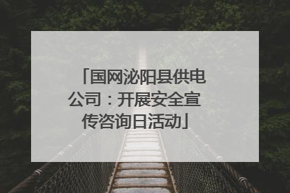 国网泌阳县供电公司：开展安全宣传咨询日活动