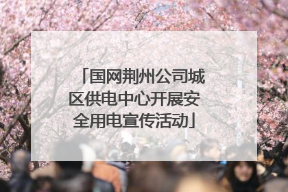 国网荆州公司城区供电中心开展安全用电宣传活动