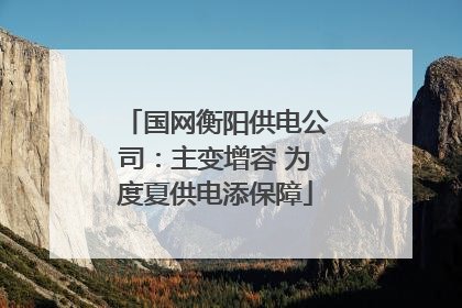 国网衡阳供电公司：主变增容 为度夏供电添保障