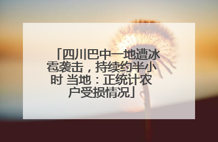 四川巴中一地遭冰雹袭击，持续约半小时 当地：正统计农户受损情况