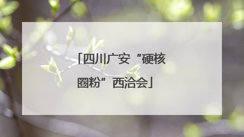 四川广安“硬核圈粉”西洽会