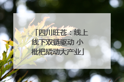 四川旺苍：线上线下双链驱动 小枇杷撬动大产业