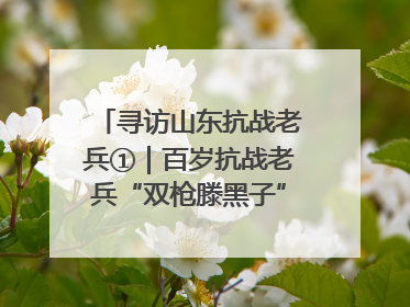 寻访山东抗战老兵①｜百岁抗战老兵“双枪滕黑子”：被粟裕称赞的“孤胆英雄”