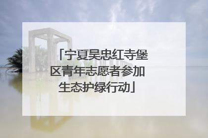 宁夏吴忠红寺堡区青年志愿者参加生态护绿行动