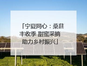 宁夏同心：桑葚丰收季 甜蜜采摘助力乡村振兴